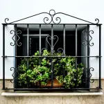 Come gestire le talee e ottenere delle meravigliose piante da appartamento